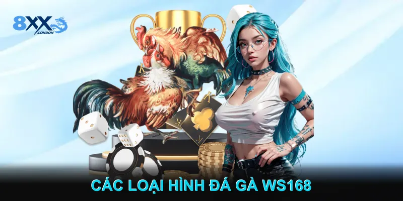 Các Loại Hình Đá Gà WS168