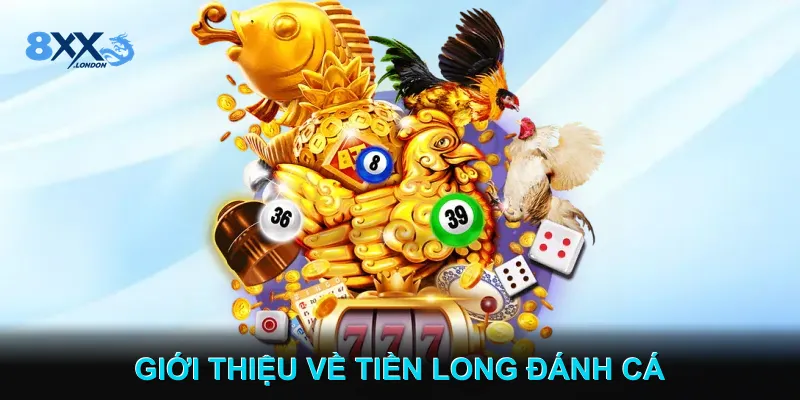 Giới Thiệu Về Tiền Long Đánh Cá