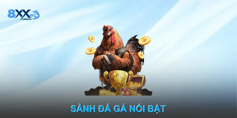 Sảnh đá gà nổi bật